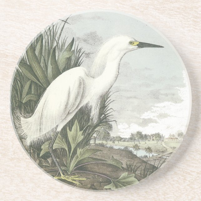Snowy-Reiher, John Audubon Untersetzer (Vorne)