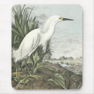 Snowy-Reiher Mousepad