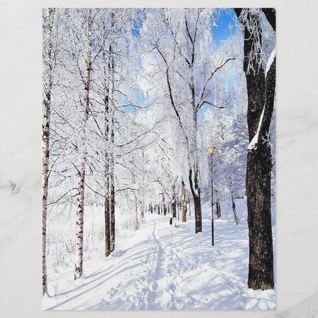 Snowy Road (Vorderseite)