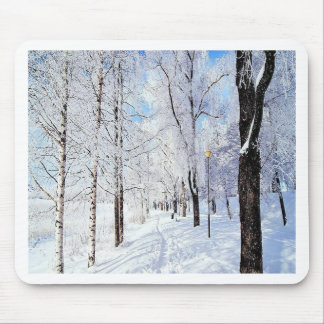 Snowy Road Mousepad