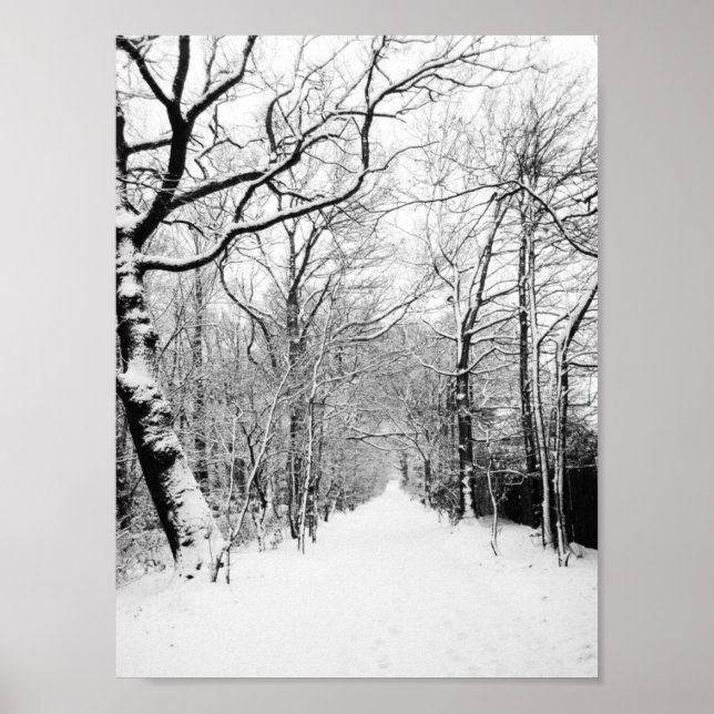 Snowy Road Poster (Vorne)