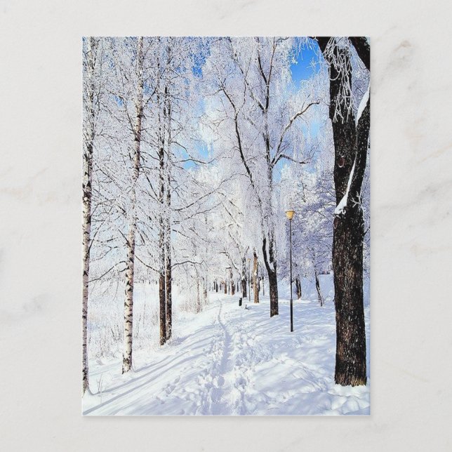 Snowy Road Postkarte (Vorderseite)