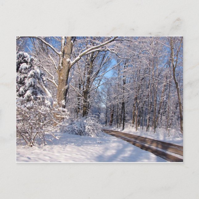 Snowy Rural Michigan Postkarte (Vorderseite)