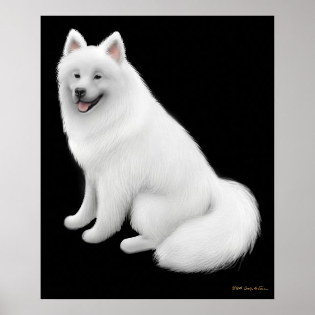Snowy Samoyed Dog Print Poster (Vorne)