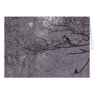 Snowy Scene