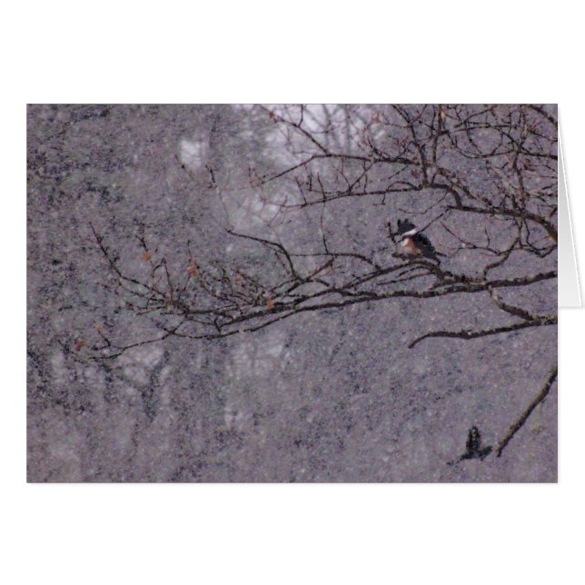 Snowy Scene (Vorderseite (Horizontal))