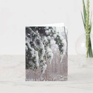 Snowy Spruce Note Card Karte