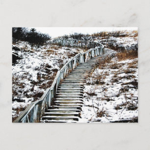 Snowy Staircase Postcard Postkarte
