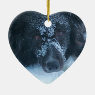 Snowy stellte Border-Collie-Hundeverzierung Keramik Ornament
