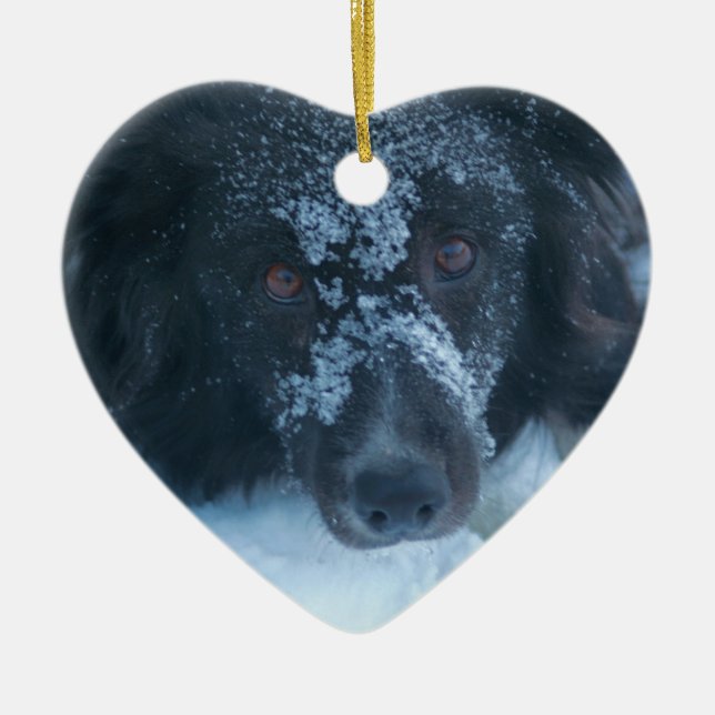 Snowy stellte Border-Collie-Hundeverzierung Keramik Ornament (Vorne)