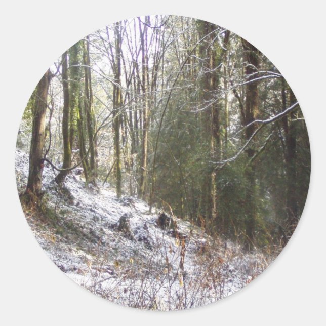 Snowy Sunlit Forest Glade Runder Aufkleber (Vorderseite)