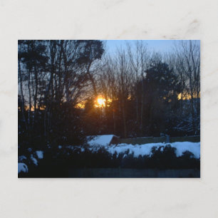 Snowy Sunrise Postkarte
