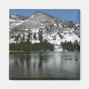 Snowy Tenaya Lake Yosemite National Park Foto Magnet