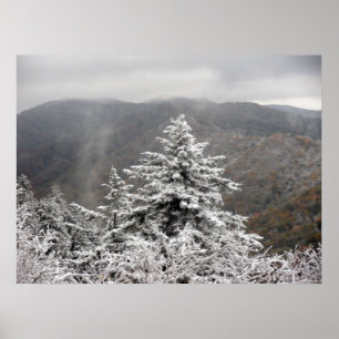 Snowy Tree Poster