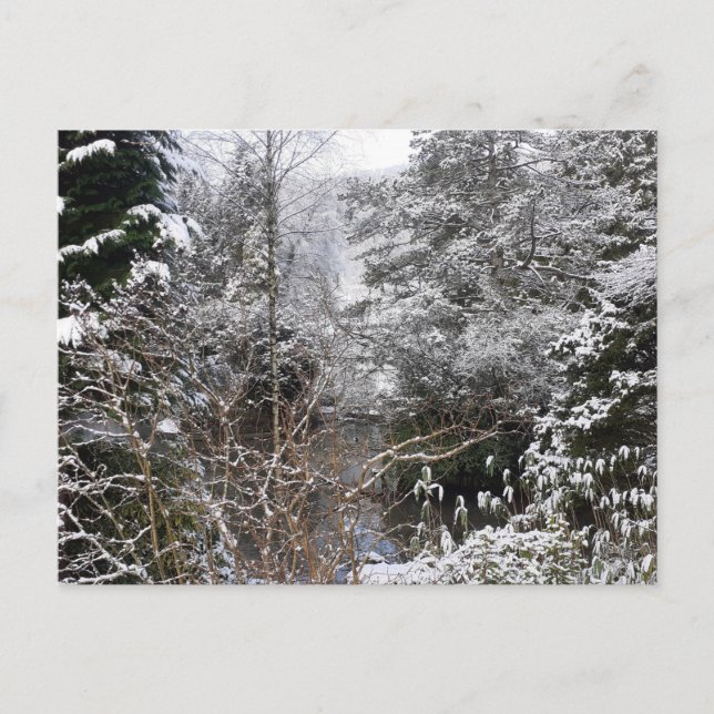 Snowy Trees Flat Postkarte (Vorderseite)