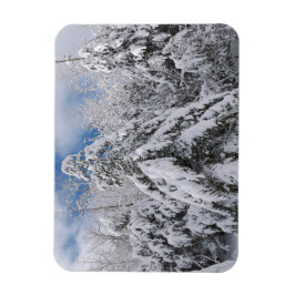 Snowy Trees Magnet