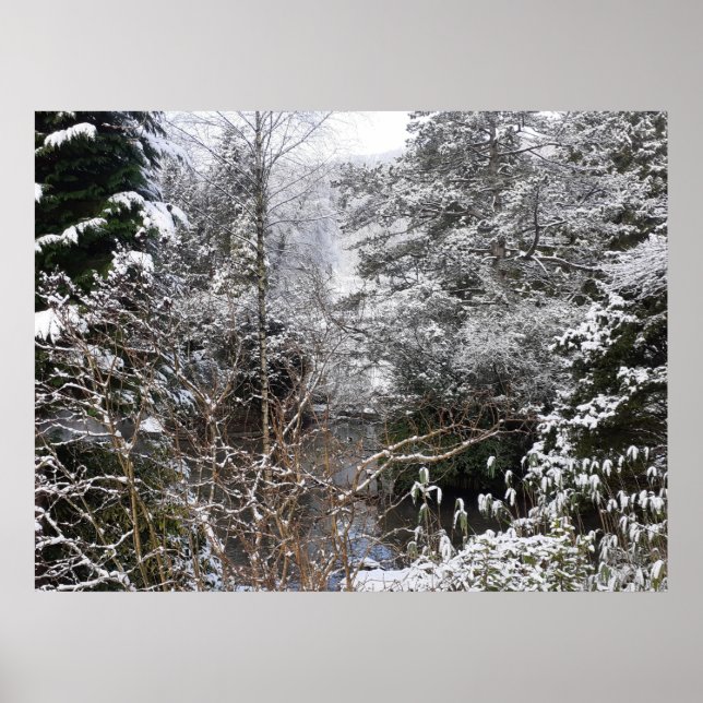 Snowy Trees Poster (Vorne)