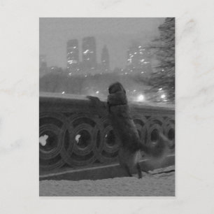 "Snowy View from Bow Bridge" Central Park, NYC Postkarte
