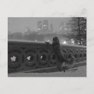 Snowy View von der Bow Bridge Postkarte