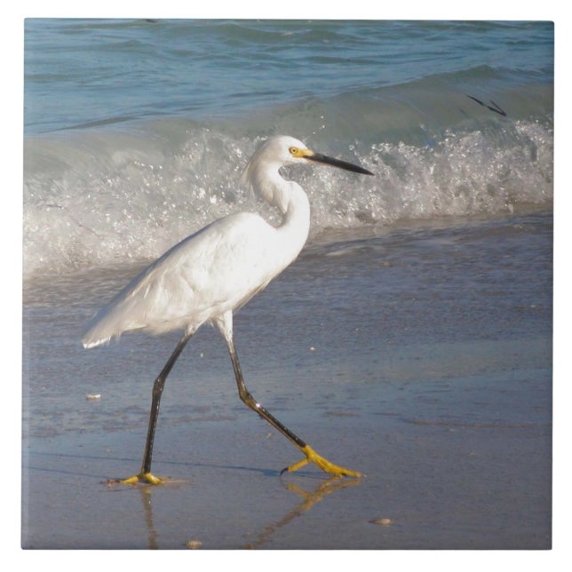 Snowy White Egret Fliese (Vorderseite)