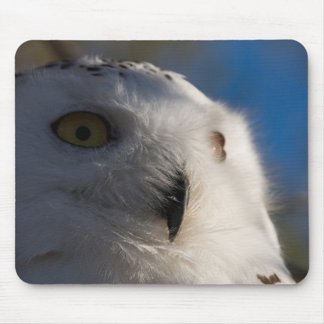 Snowy White-Eule Mousepad (Vorne)