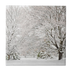 Snowy Winter Forest Fliese