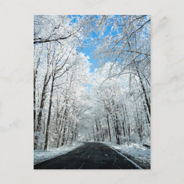 Snowy Winter Road Szene Postkarte (Vorderseite)