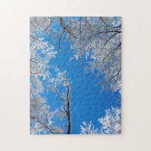 Snowy Winter Scene Puzzle