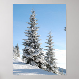 Snowy Winter Szene mit Weihnachtsbäumen Poster