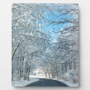 Snowy Winter Trees Fotoplatte