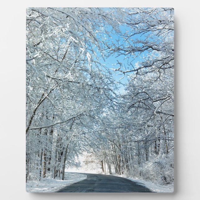 Snowy Winter Trees Fotoplatte (Vorderseite)