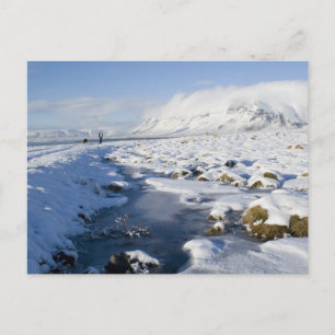 Snowy Winterland Postkarte