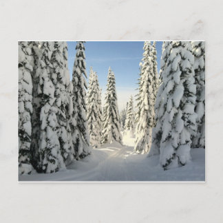Snowy Wonderland Postkarte