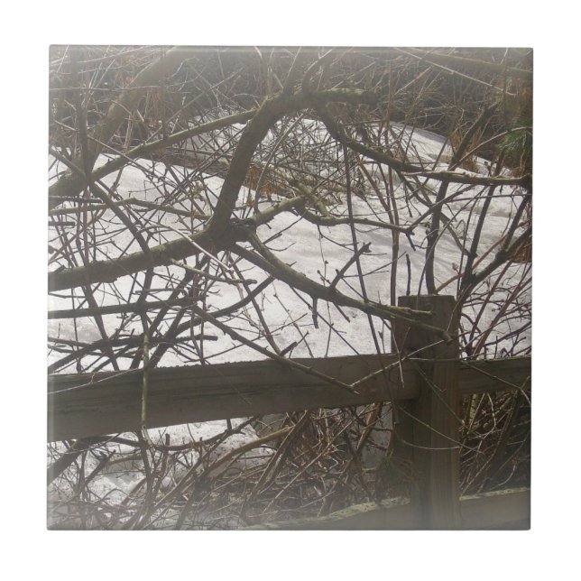 Snowy Woods Fliese (Vorderseite)