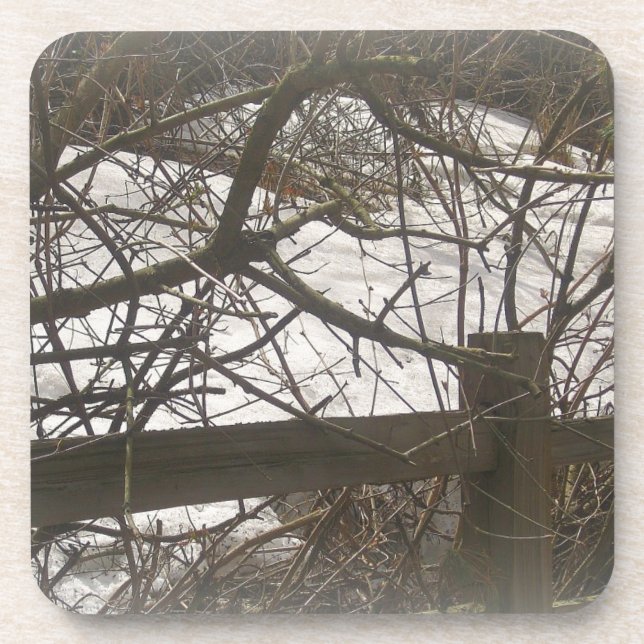 Snowy Woods Untersetzer (Vorderseite)