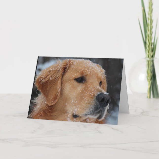 Snowy-Wyatt-Karte Karte (Vorderseite)