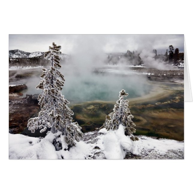 Snowy Yellowstone (Vorderseite (Horizontal))