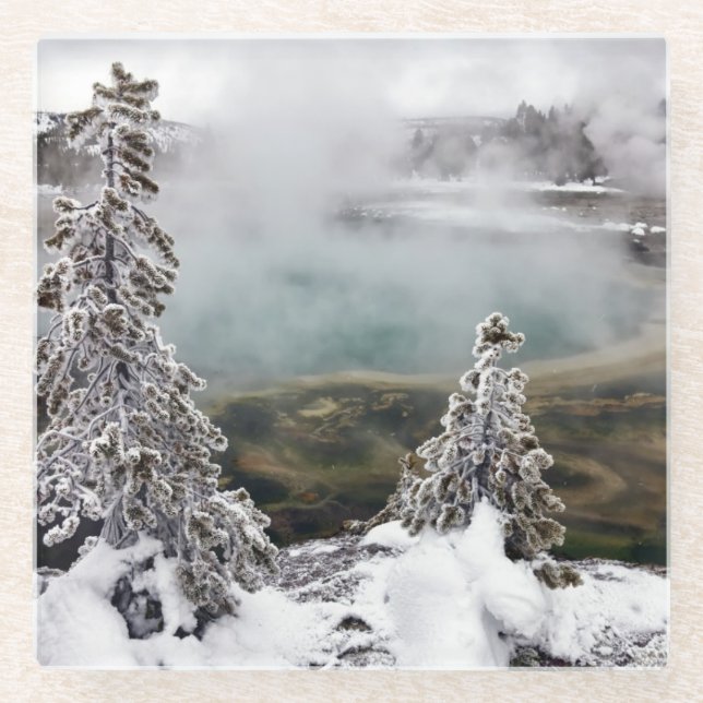 Snowy Yellowstone Glasuntersetzer (Vorderseite)