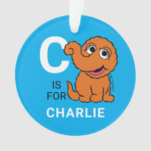 Snuffleupagus Personalisierter Name mit Foto Ornament