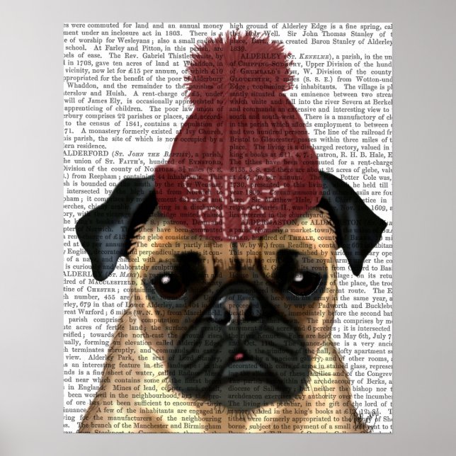 Snug Mops Poster (Vorne)