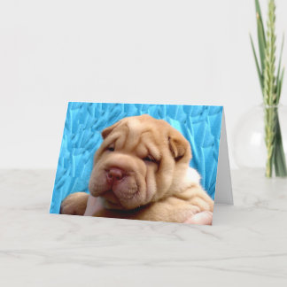 Snuggle Me Greeting Card Karte