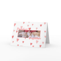 Snuggling Katzen Valentinstagkarte