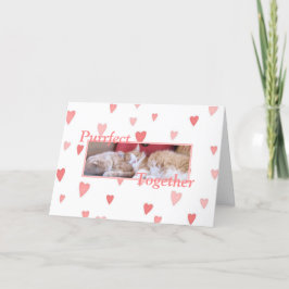Snuggling Katzen Valentinstagkarte Feiertagskarte