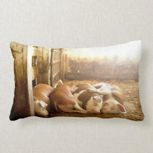 Snuggling Schweine Getty Bild- Lendenkissen