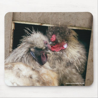 Snuggling Silkie Huhn-Hennen - Geflügel Mousepad