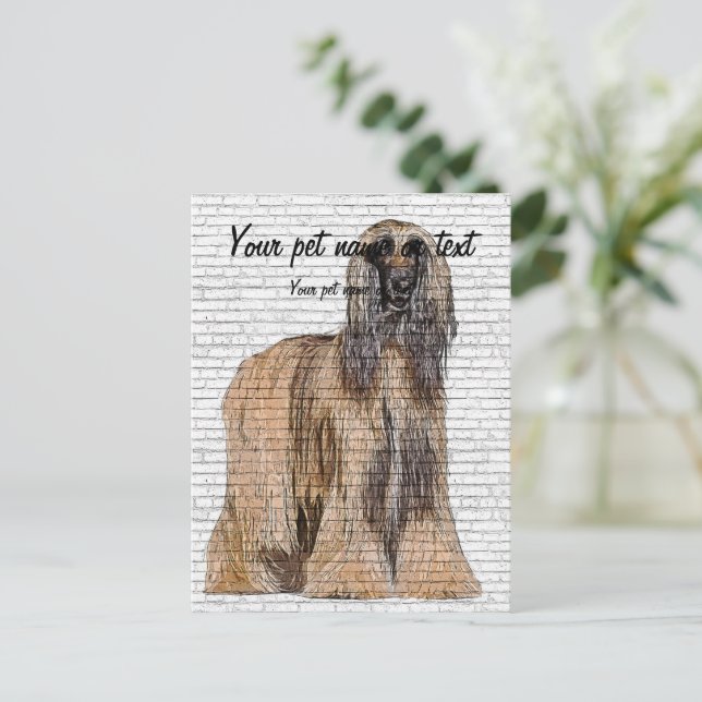 So Beautiful, Afghan Hound Dog Postkarte (Stehend Vorderseite)