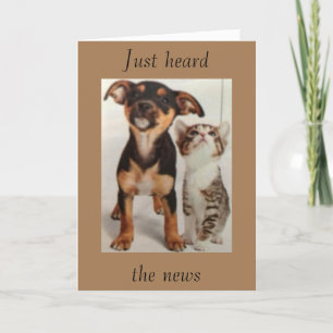 SO "COOL", DASS SIE SICH EINSTELLEN *18* KARTE