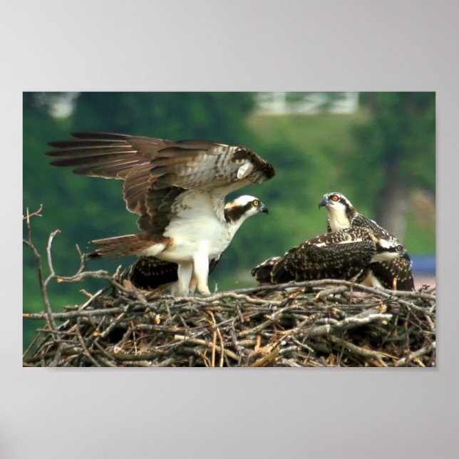 So funktionieren diese Dinge Poster (Vorne)