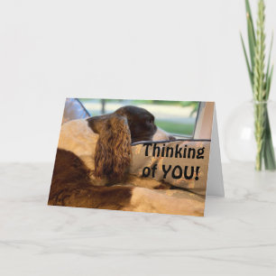 SO GLÜCKLICH UND WOLL, IHNEN ZU GRATULIEREN KARTE