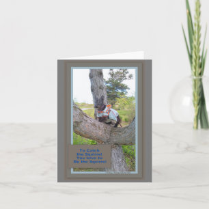 So greifen Sie die Eichhörnchenkarte zu Karte